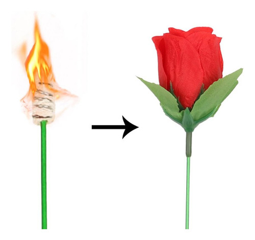 Torch To Flower Fire Se Convierte En Trucos De Magia Con Ros