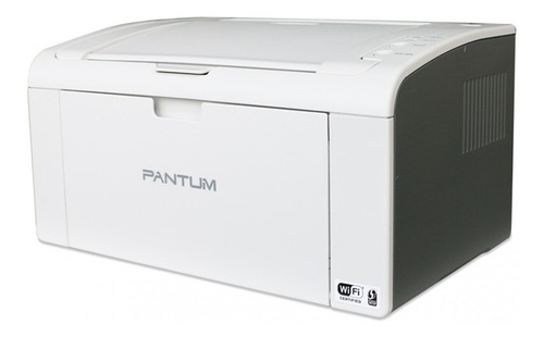 Imagen 1 de 3 de Impresora Laser Wifi Monocromática Pantum P2509w
