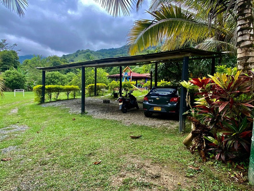 Imagen 8 de 11 de Finca En Sopetran - Piscina + 2 Cabañas + 2 Kioskos + Parque Infantil + Amplia Zona Verde En Sector Alta Valorización (5 Min Del Parque)