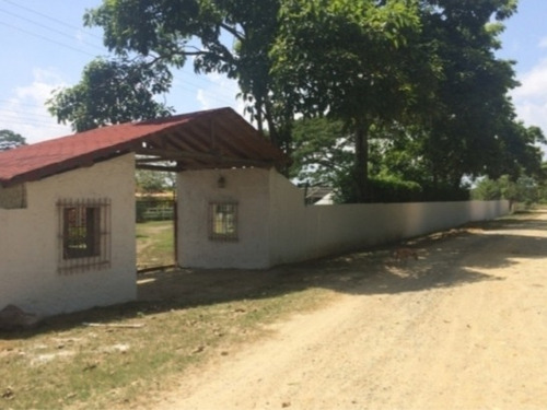 Imagen 1 de 14 de Venta Finca Los Apamates Boca De Aroa Piscina Cod. 426996 Cesar Laurentin