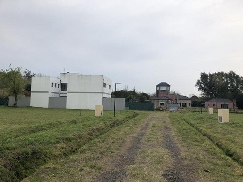 Terreno - Villa Elisa