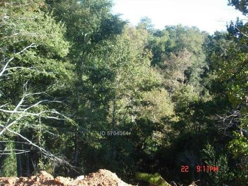 Imagen 7 de 21 de Camino Nonguen S / N , Sector Reserva De Nonguen Concepc...