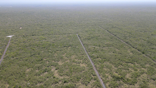 Terreno Industrial Al Norte De Mérida. Yaxcopoil