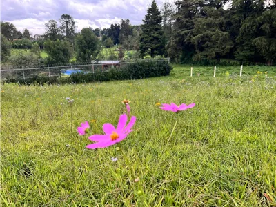 Terreno en venta
