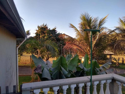 Chácara Com 2 Dormitórios À Venda, 24820 M² Por R$ 650.000,00 - Canal Torto - Artemis/sp - Ch0099