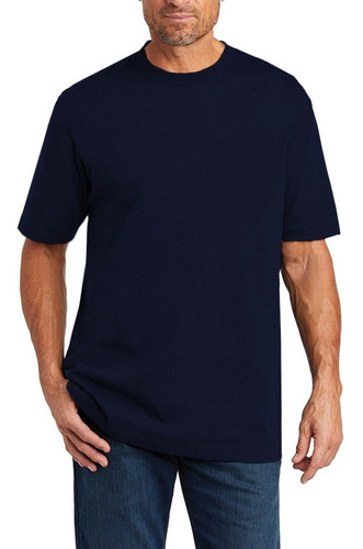 Remera Lisa Algodon Jersey Peinado Premium