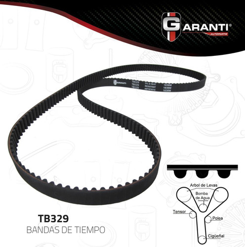 Banda Tiempo Para Honda Accord 1990 - 2014 (garanti)