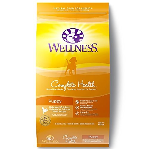 Wellness Complete Health Natural Dry Puppy Food Pollo Salmón