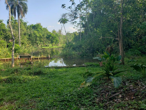 Imagem 22 de 25 de Ch0001-chácara A Venda Com 6100m² No Jardim Polônia -foz Do Iguaçu-pr. - Ch0001