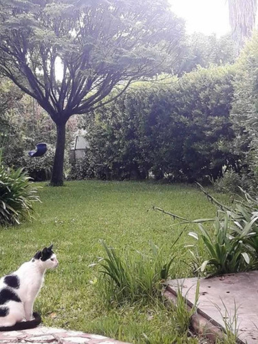 Imagen 15 de 20 de Casa En Alq. Temporario Ubicado En Campo Chico, Pilar, G.b.a. Zona Norte