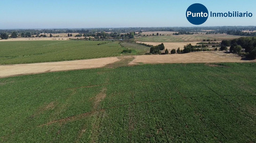 Imagen 11 de 13 de Abundante Agua. Uso Agrícola Y Frutícola