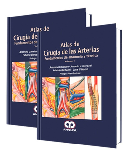 Atlas De Cirugía De Las Arterias. Fundamentos De Anatomía. 