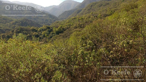 Imagen 7 de 30 de Campo En Venta En Salta - 2000 Has