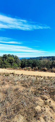 Excelente Terreno Con Vista Al Mar En Los Pinos, Reñaca