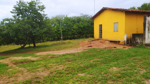 Propriedade Rural Próxima A Cidade Em Senhor Do Bonfim - Ba