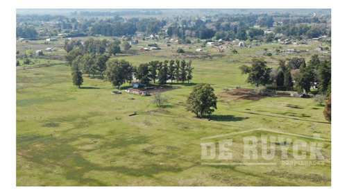 Imagen 3 de 7 de Campo En Venta En San Vicente