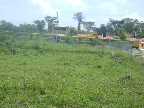 Imagen 11 de 13 de Terreno En Venta Via Sotillo Colinas De Ibiza Higuerote Riv#5548
