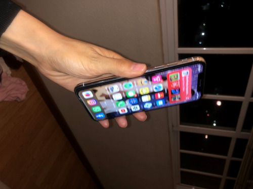 iPhone X 256 Gb Plata (Usado)