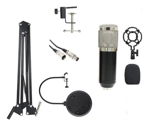 Imagen 4 de 7 de Microfono Canon Con Brazo Estudio Condensador Live Broadcast