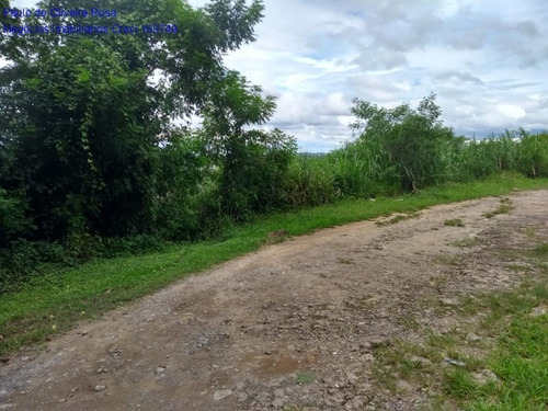 Imagem 18 de 22 de Terreno - Te00049 - 69287773