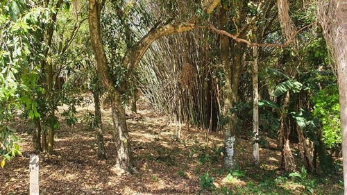 Imagem 18 de 24 de Chácaras À Venda Em Jundiaí/sp - Compre O Seu Chácaras Aqui! - 1482850