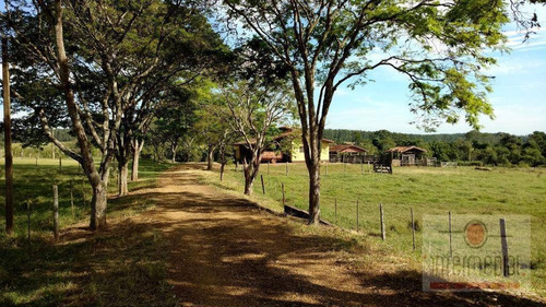 Imagem 12 de 19 de Fazenda Rural À Venda. - Fa0009