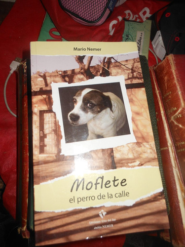 * Mario Nemer -  Moflete - El Perro De La Calle 