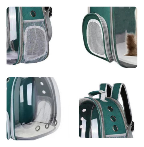 Mochila De Viaje Para Perros Y Gatos, Verde