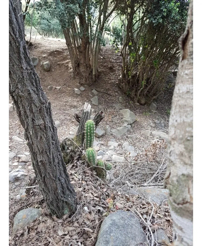 A9416418- Venta Parcela Ensenada Aguila Sur-2hect-paine