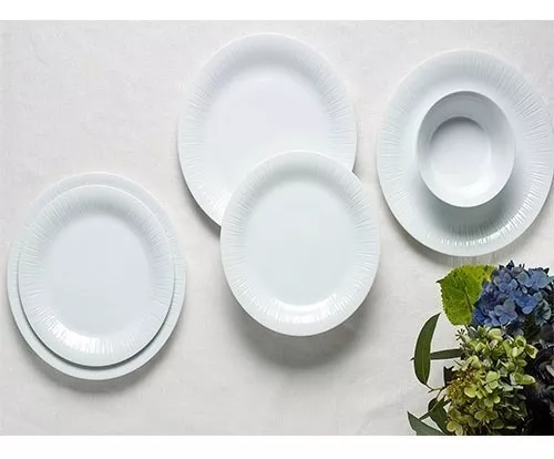 Primera imagen para búsqueda de platos de porcelana