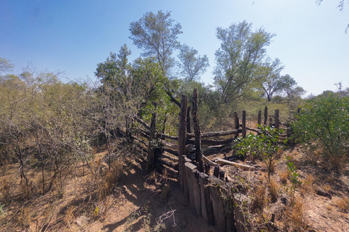 Retasado Oportunidad Campo Agrícola Ganadero 531 Ha_ Dis. Candelaria, Santiago Del Estero