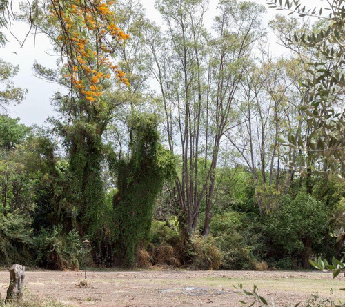 Gran Terreno A La Venta En El Barrio Los Pinos 2 De Yei Pora