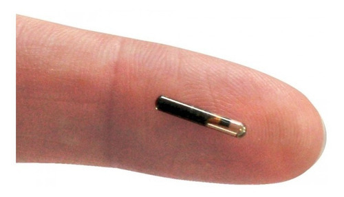 Microchip (nanochip) Animal de 1,25 x 7 mm, kit con 1 unidad de color blanco, 2,12 x 12 mm