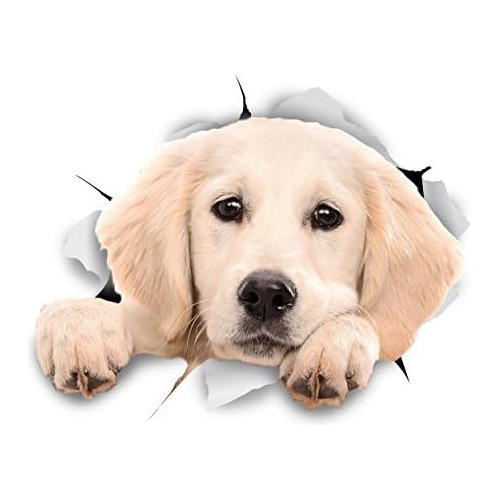 Winston &amp; Bear 3d Dog Stickers - Paquete De 2 - Pee...