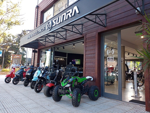 Imagen 5 de 9 de Monopatin Scooter Electrico X7 Litio Plegable Sunraleloir