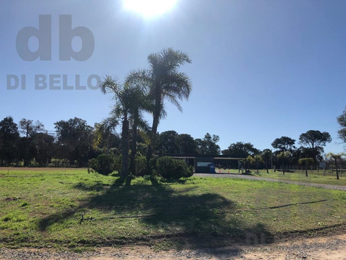 Imagen 13 de 21 de Venta De Lotes En Zarate Golf Park