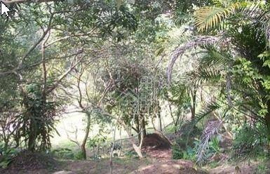 Imagem 4 de 30 de Chácara Com 6 Quartos À Venda, 16000 M² Por R$ 650.000 - Maria Paula - Niterói/rj - Ch0002