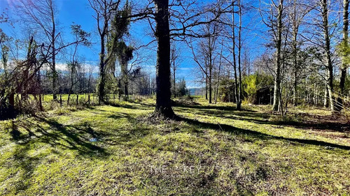 Parcela En Venta En Pedregoso, Villarrica.