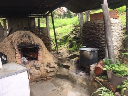 Imagen 15 de 21 de Se Vende Finca 20.748 M2 El Jarillo