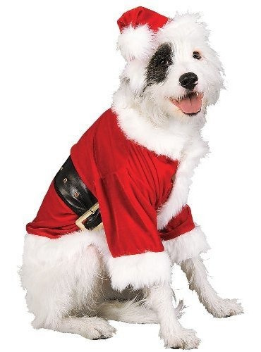 Traje De Mascota De Navidad Rubies