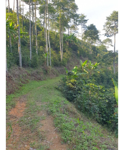 Se Vende Finca Ibague Tolima