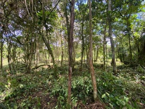 Terreno De Chácara Em Itanhaém Com Contrato 7866