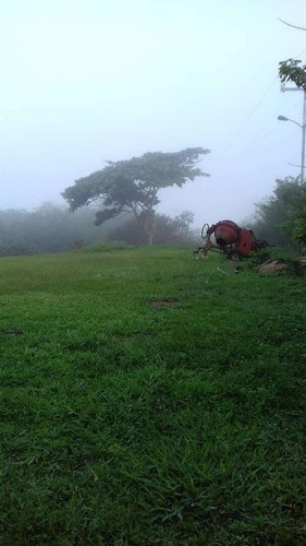 Imagen 12 de 14 de Venta Finca 67 Hectáreas Nigua Yaracuy Oportunidad Cod. 8973
