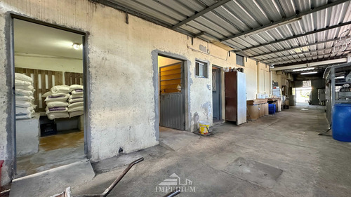 Se Vende Panaderia Padrón Único