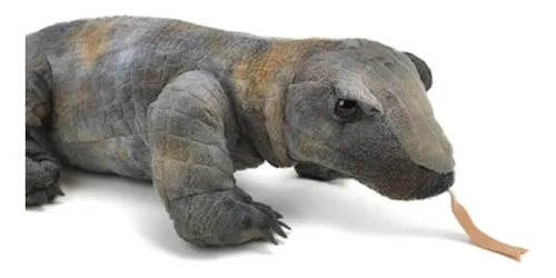 Dragon de on sale komodo peluche