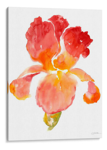 Canvas Lab Cuadro Sunset Blooms I 60x80, Tim Otoole