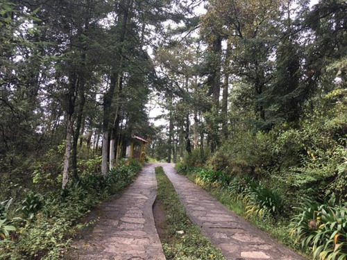 Imagen 4 de 12 de Terreno En Venta Aprovecha Esta Oportinidad, Lotes Para Cabaña Escriturados
