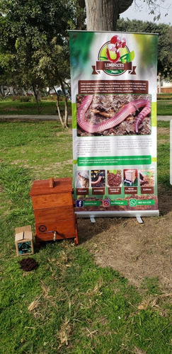 Imagen 7 de 8 de Lombriz Roja Californiana Para Bio Huertos Orgánico & Humus