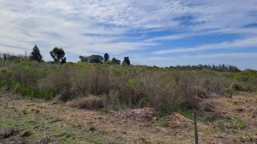 Vendo Campo 200 Mts De Frente Ruta 1