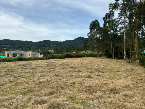 Venta De Lote En La Vía La San Antonio La Ceja.